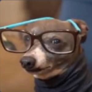 Meet your Posher, Hope